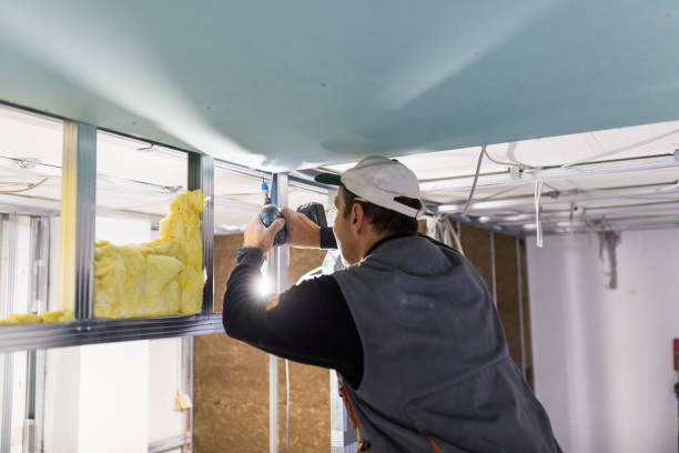 Professional Insulation Contractor in Liberty, TX